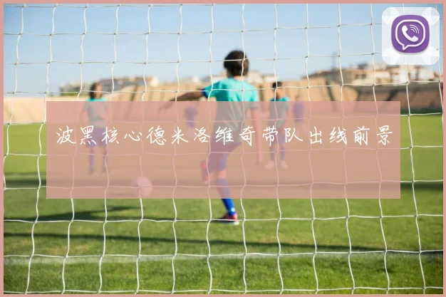 波黑核心德米洛维奇带队出线前景