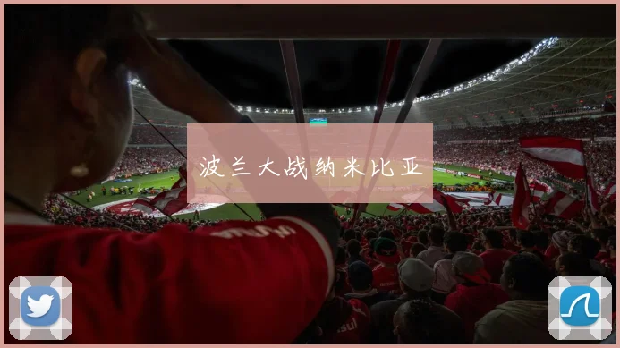 波兰大战纳米比亚