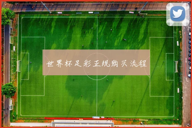 世界杯足彩正规购买流程