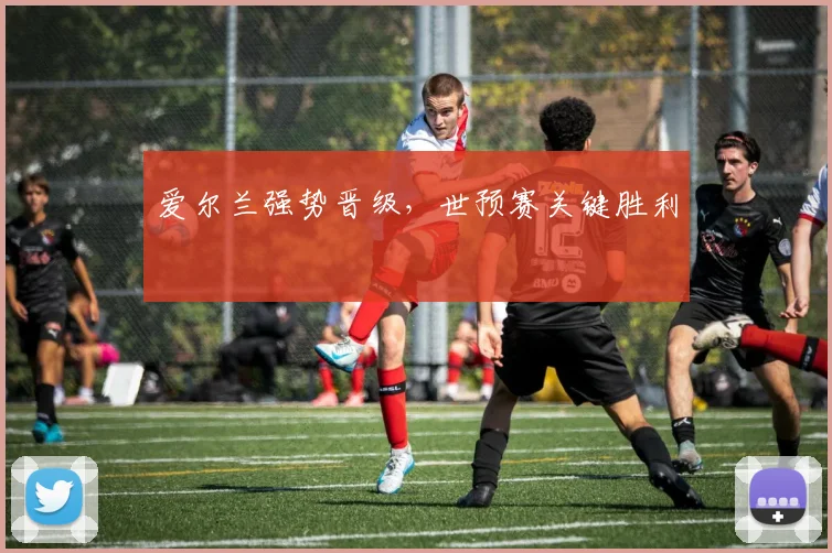 爱尔兰强势晋级，世预赛关键胜利