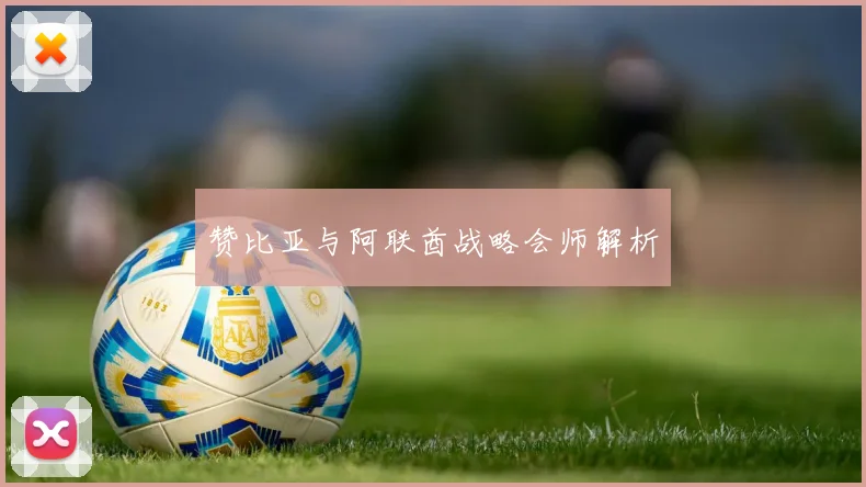 赞比亚与阿联酋战略会师解析