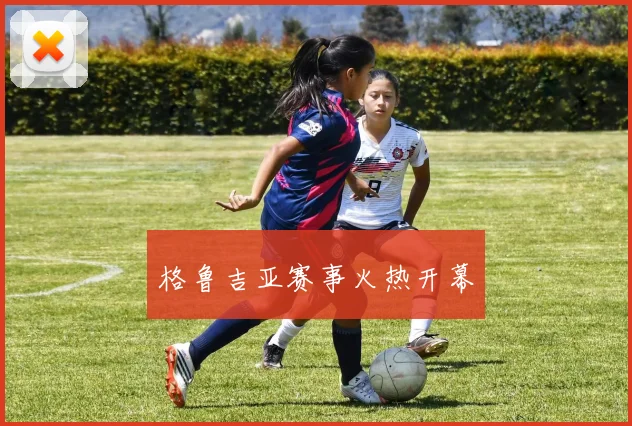 格鲁吉亚赛事火热开幕