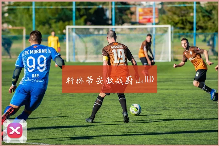 科林蒂安激战蔚山HD