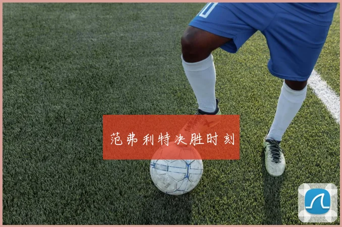 范弗利特决胜时刻