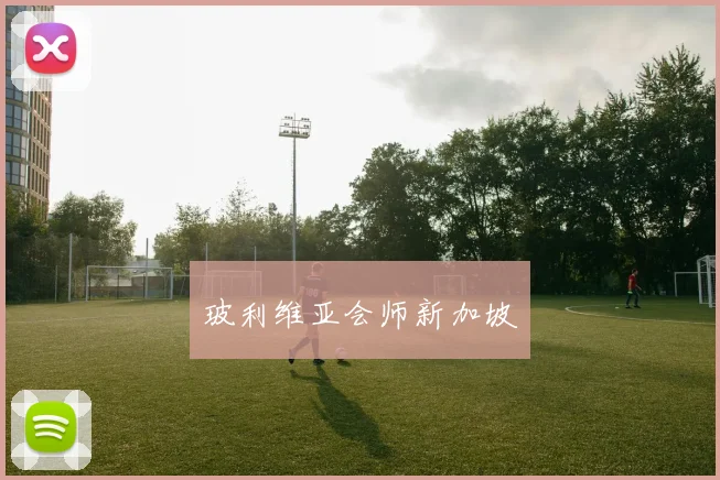 玻利维亚会师新加坡