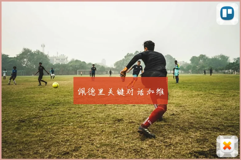佩德里关键对话加维
