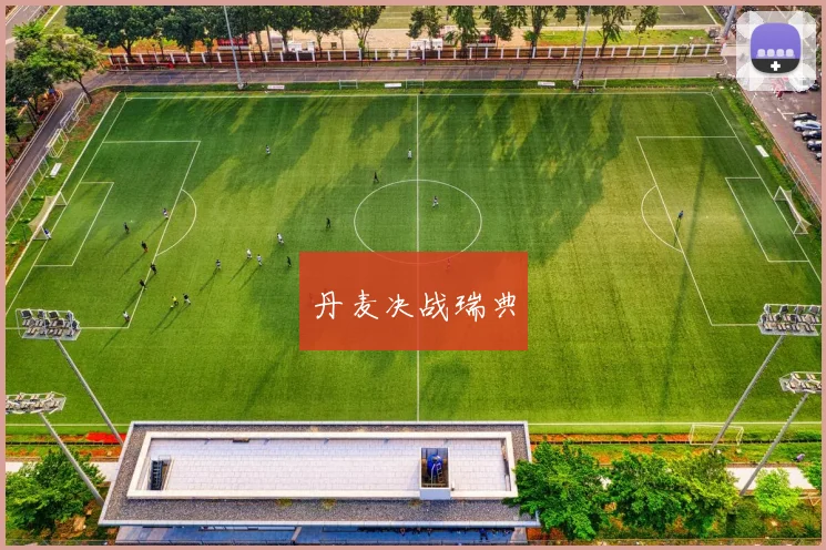 丹麦决战瑞典