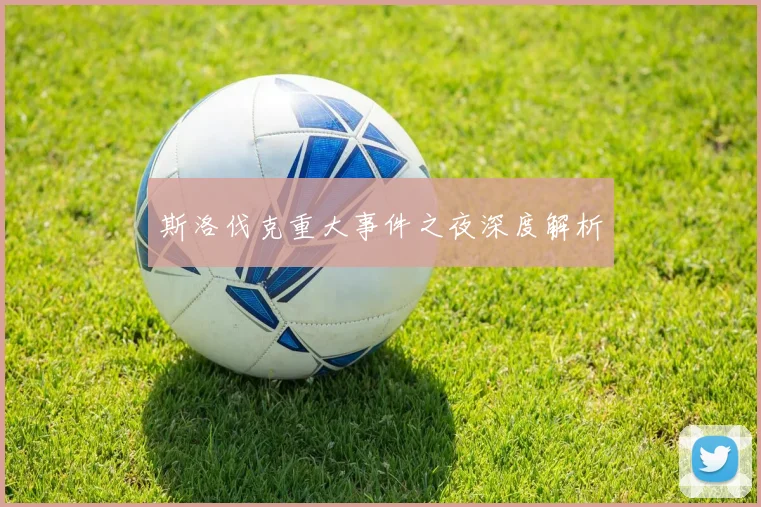 斯洛伐克重大事件之夜深度解析