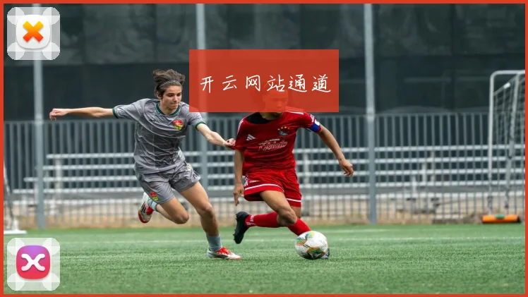 开云网站通道
