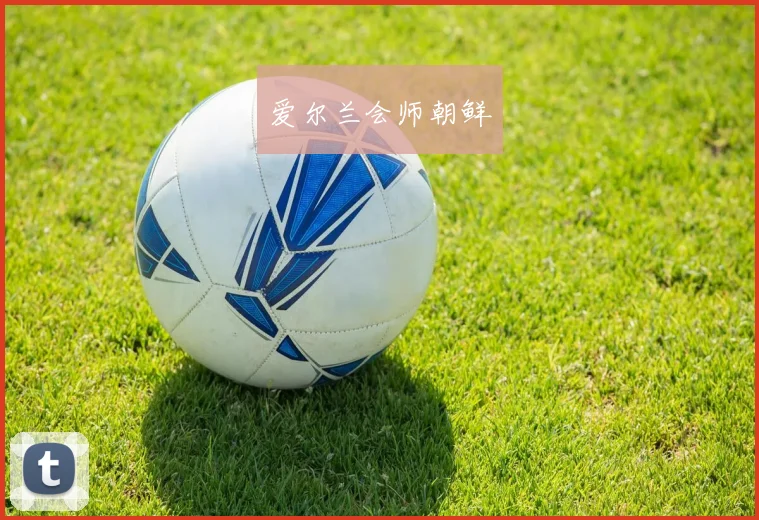 爱尔兰会师朝鲜