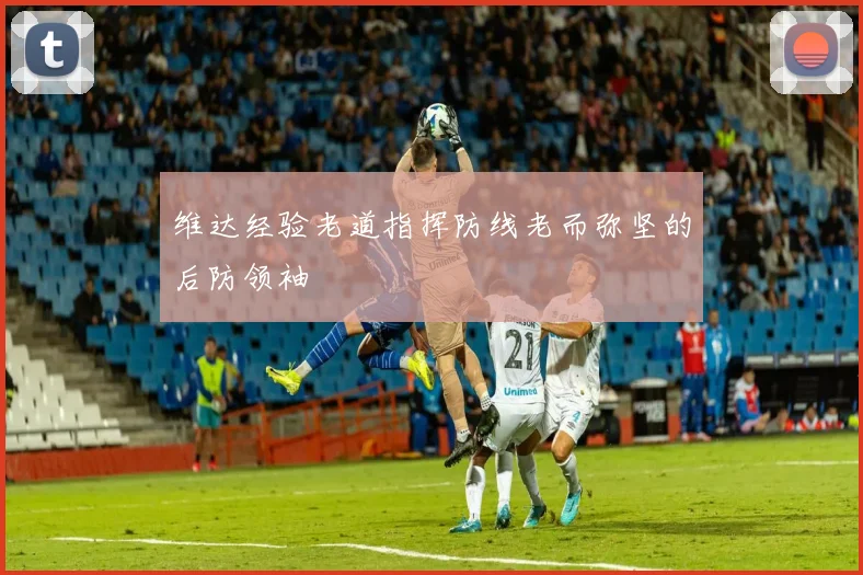 维达经验老道指挥防线老而弥坚的后防领袖