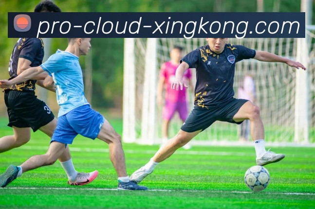 xk星空体育登录App下载