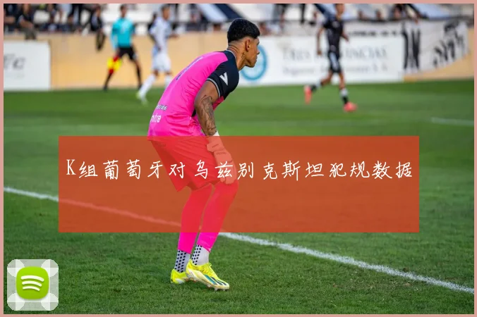 K组葡萄牙对乌兹别克斯坦犯规数据